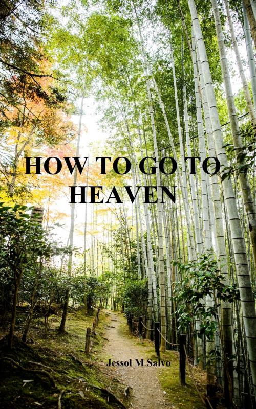 Cover of the book How to Go to Heaven by Jessol Salvo, Jessol Salvo