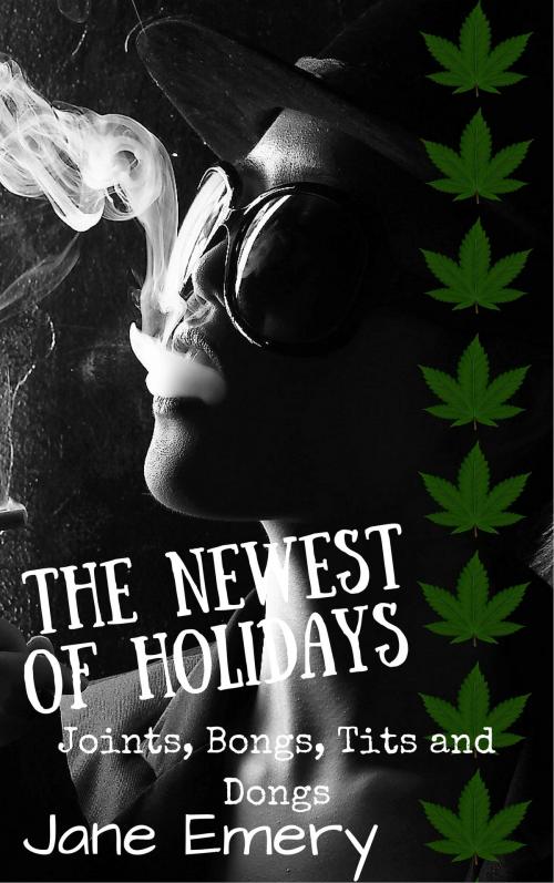Cover of the book The Newest Of Holidays: Joints, Bongs, Tits & Dongs by Jane Emery, Jane Emery