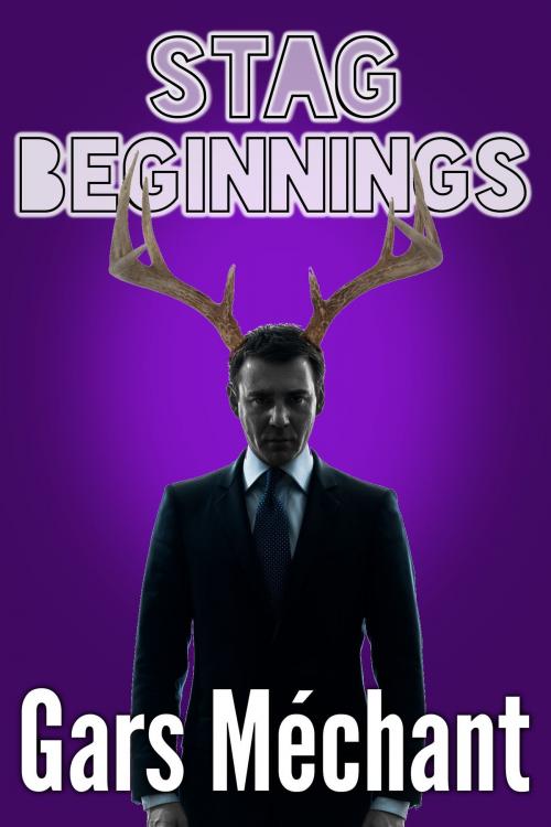 Cover of the book Stag Beginnings by Gars Méchant, Gars Méchant