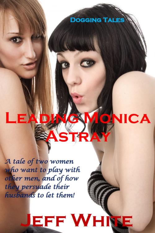 Cover of the book Leading Monica Astray by Jeff White, Jeff White