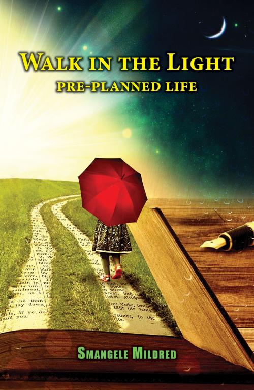 Cover of the book Walk In The Light Pre Planned Life by Smangele Mildred, Smangele Mildred