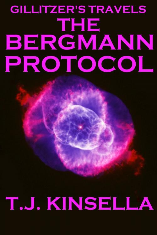 Cover of the book The Bergmann Protocol by T J Kinsella, T J Kinsella