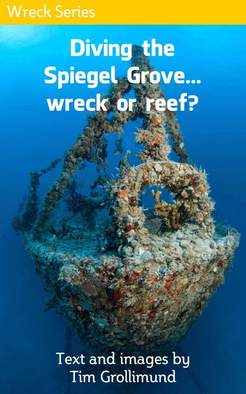 Cover of the book Diving the Spiegel Grove... Wreck or Reef? by Tim Grollimund, Tim Grollimund