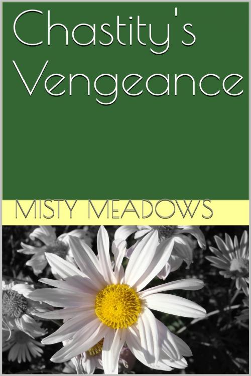 Cover of the book Chastity's Vengeance by Misty Meadows, Misty Meadows