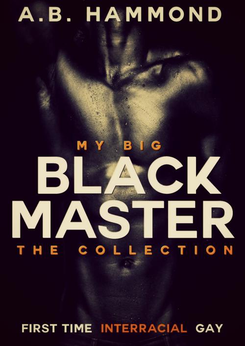 Cover of the book My Big Black Gay Master - The Collection [Gay Interracial BDSM] by A.B Hammond, Phoenix Rising Publishing