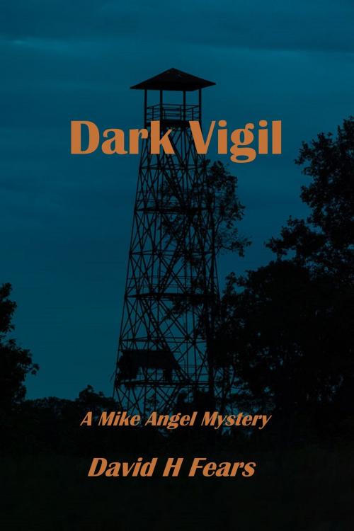 Cover of the book Dark Vigil: A Mike Angel Mystery by David H Fears, David H Fears