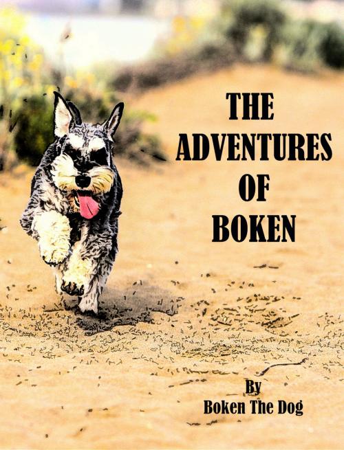 Cover of the book The Adventures of Boken by Boken The Dog, Boken The Dog