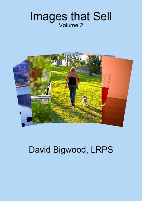Cover of the book Images That Sell Volume 2 by David Bigwood, David Bigwood