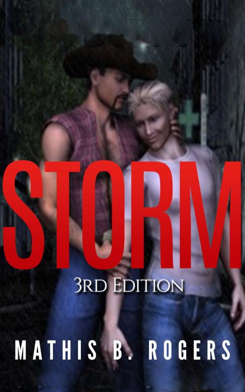 Cover of the book Storm by Mathis B. Rogers, Mathis B. Rogers