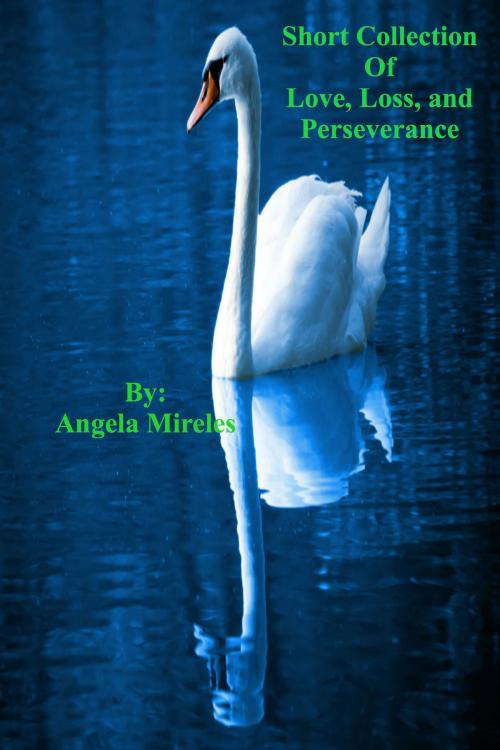 Cover of the book Short Stories Collection of Love, Loss, and Perseverance by Angela Mireles, Angela Mireles
