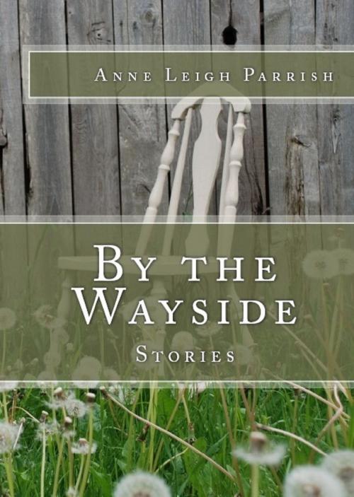 Cover of the book By the Wayside by Anne Leigh Parrish, Unsolicited Press