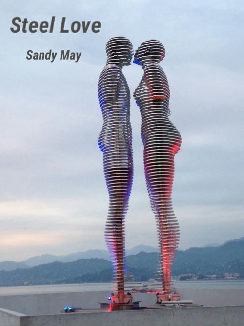 Cover of the book Steel Love by Sandy May, Sandy May