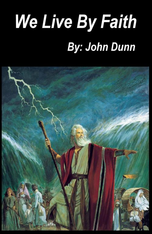 Cover of the book We Live By Faith by John Dunn, F I Group, Inc.