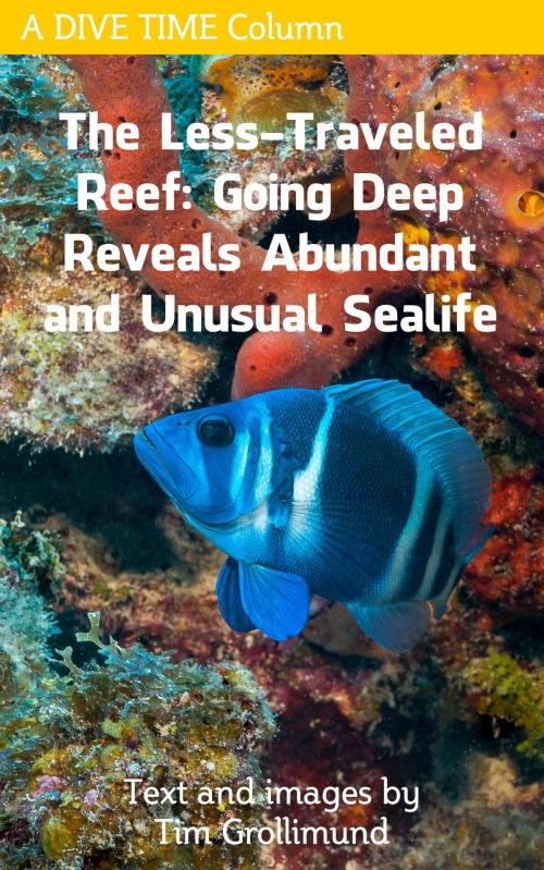 Cover of the book The Less Traveled Reef: Going Deep Reveals Abundant and Unusual Sealife by Tim Grollimund, Tim Grollimund