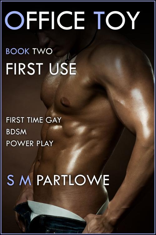Cover of the book Office Toy - First Use : First Time Gay BDSM Power Play (Series Book Two) by S M Partlowe, S M Partlowe