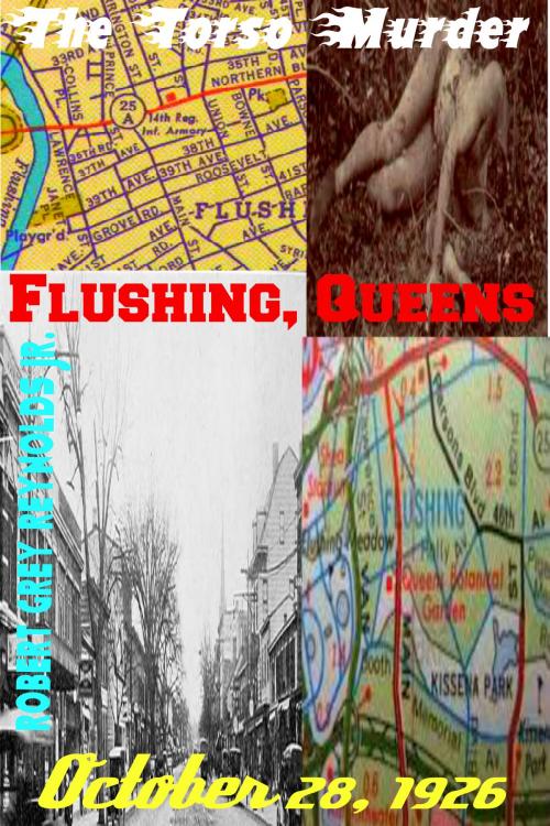 Cover of the book The Torso Murder Flushing, Queens October 28, 1926 by Robert Grey Reynolds Jr, Robert Grey Reynolds, Jr