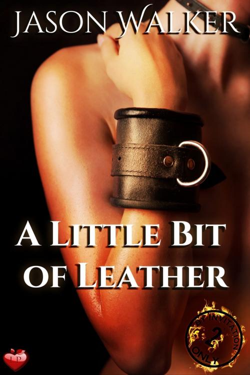 Cover of the book A Little Bit of Leather by Jason Walker, Luminosity Publishing LLP