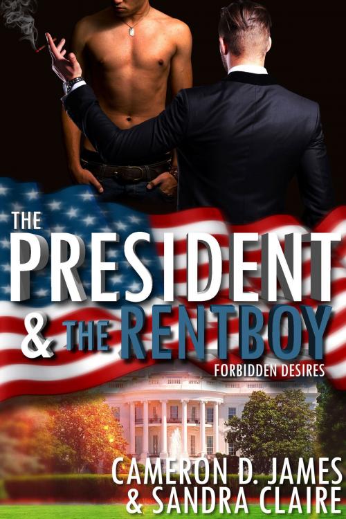 Cover of the book The President And The Rentboy by Cameron D. James, Sandra Claire, Indie Erotica Collective