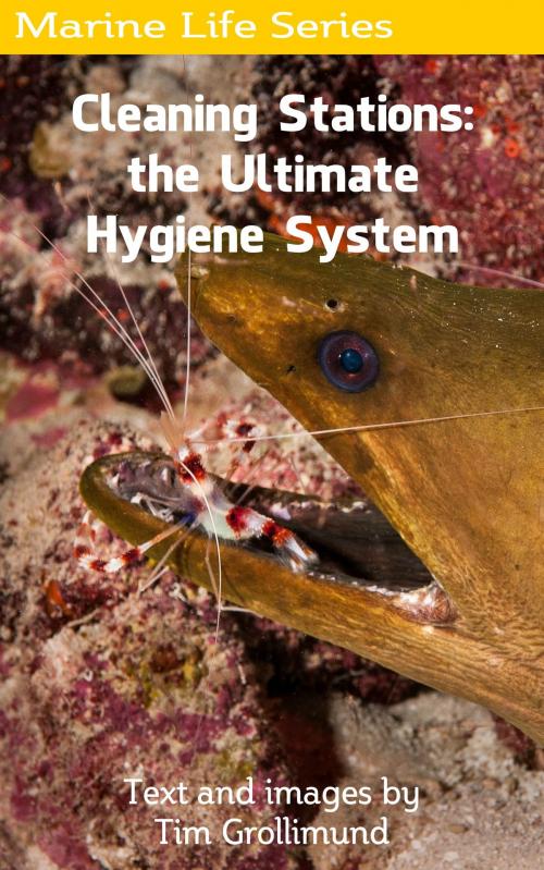 Cover of the book Cleaning Stations: the Ultimate Hygiene System by Tim Grollimund, Tim Grollimund