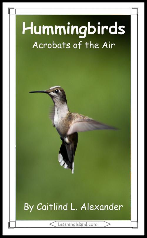 Cover of the book Hummingbirds: Acrobats of the Air by Caitlind L. Alexander, LearningIsland.com