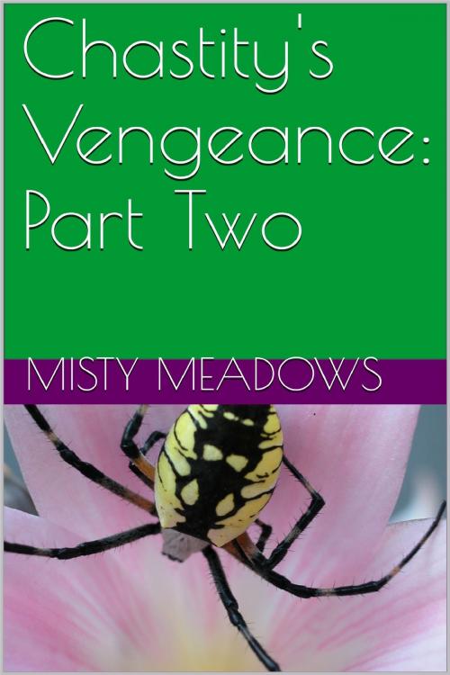 Cover of the book Chastity's Vengeance: Part Two by Misty Meadows, Misty Meadows