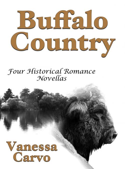 Cover of the book Buffalo Country: Four Historical Romance Novellas by Vanessa Carvo, Lisa Castillo-Vargas