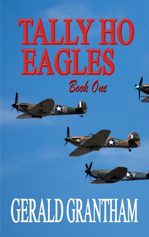 Cover of the book Tally Ho, Eagles ... Book One by Gerald Grantham, CUSTOM BOOK PUBLICATIONS