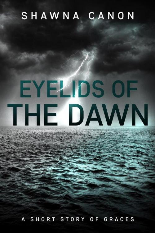 Cover of the book Eyelids of the Dawn by Shawna Canon, Headcanon Press
