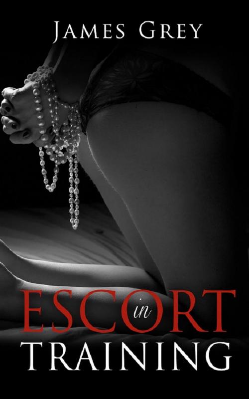 Cover of the book Escort in Training by James Grey, Firefly