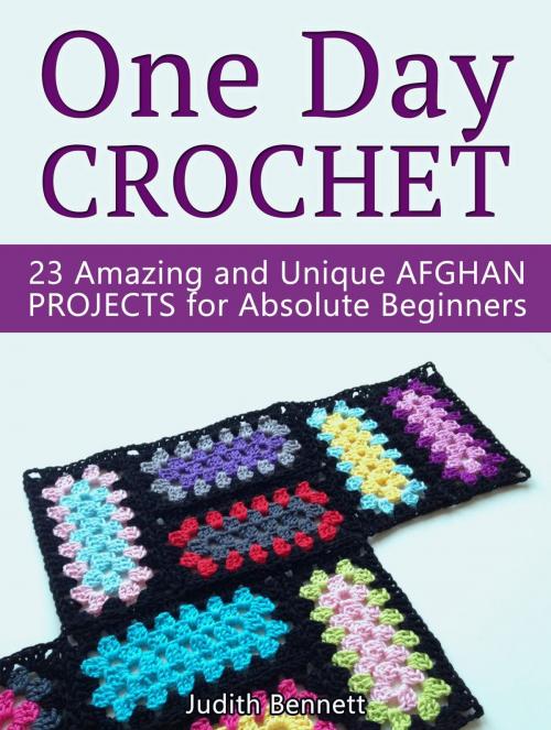 Cover of the book One Day Crochet: 23 Amazing and Unique Afghan Projects for Absolute Beginners by Judith Bennett, JVzon Studio