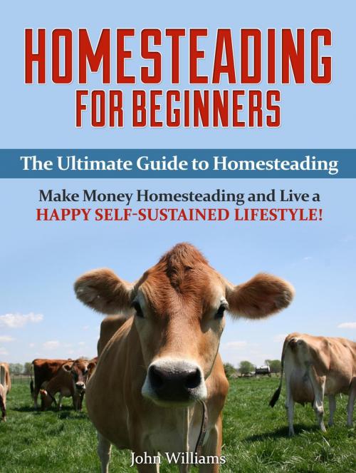 Cover of the book Homesteading: Make Money Homesteading and Live a Happy Self-Sustained Lifestyle! (Homesteading Tips) by John Williams, Amazing Publisher