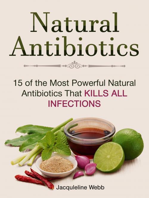 Cover of the book Natural Antibiotics: 15 of the Most Powerful Natural Antibiotics That Kills All Infections by Jacquleline Webb, JVzon Studio