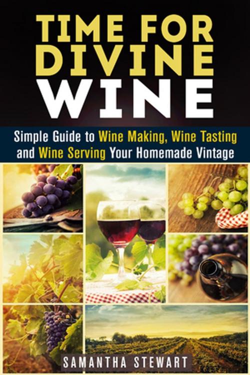 Cover of the book Time for Divine Wine: Simple Guide to Wine Making, Wine Tasting and Wine Serving Your Homemade Vintage by Samantha Stewart, Guava Books