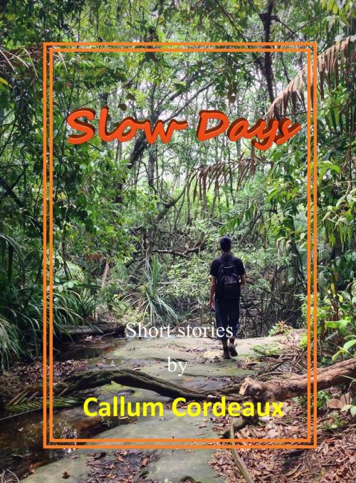 Cover of the book Slow Days by Callum Cordeaux, Callum Cordeaux