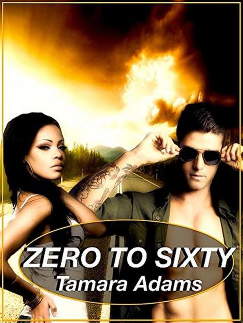 Cover of the book Zero To Sixty by Tamara Adams, Tamara Adams