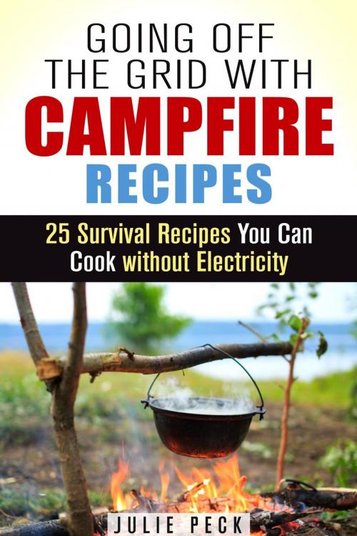 Cover of the book Going Off the Grid with Campfire Recipes: 25 Survival Recipes You Can Cook without Electricity by Julie Peck, Guava Books