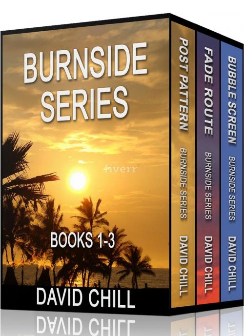Cover of the book The Burnside Mystery Series, Box Set (Books 1-3) by David Chill, David Chill