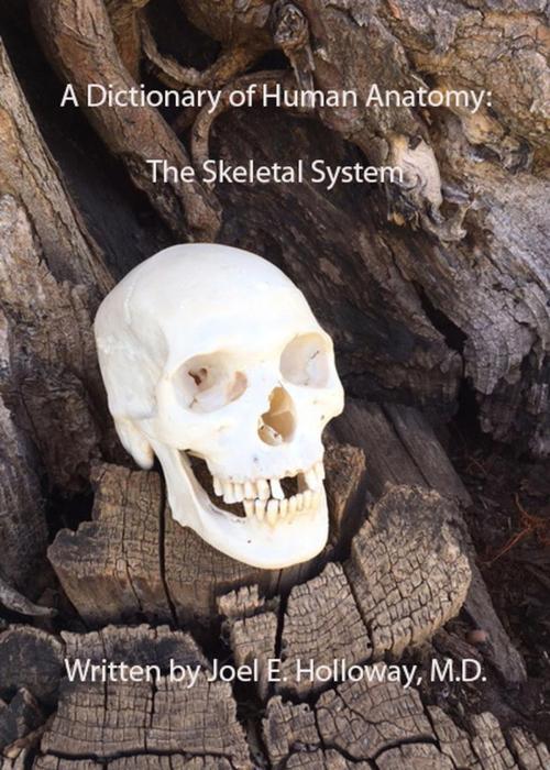 Cover of the book A Dictionary of Human Anatomy: Skeletal System by Joel E. Holloway, M.D., Three Yellow Feathers