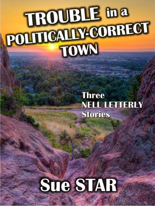 Cover of the book Trouble in a Politically-Correct Town by Albert Bates, Sue Star, D. M. Kreg Publishing