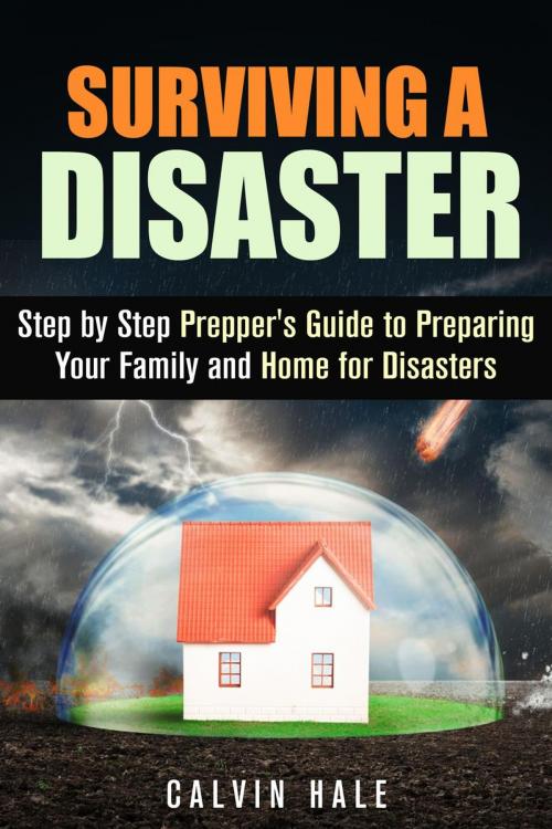 Cover of the book Surviving a Disaster: Step by Step Prepper's Guide to Preparing Your Family and Home for Disasters by Calvin Hale, Guava Books