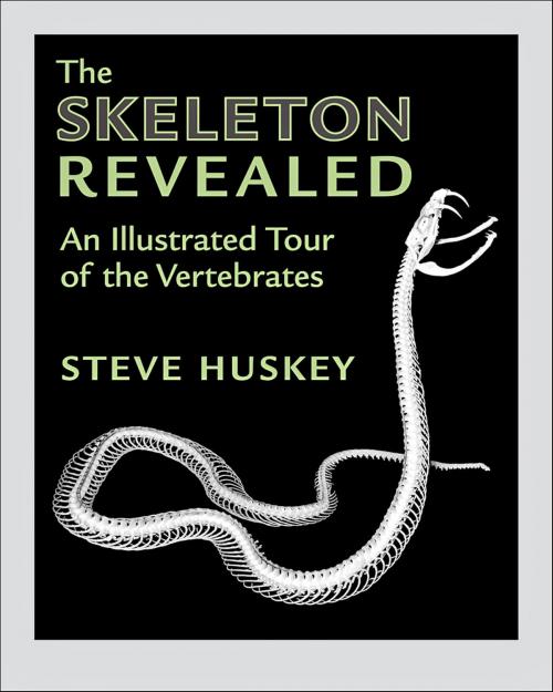 Cover of the book The Skeleton Revealed by Steve Huskey, Johns Hopkins University Press
