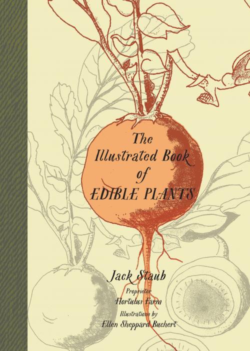 Cover of the book The Illustrated Book of Edible Plants by Jack Staub, Gibbs Smith