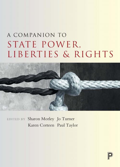 Cover of the book A companion to state power, liberties and rights by , Policy Press