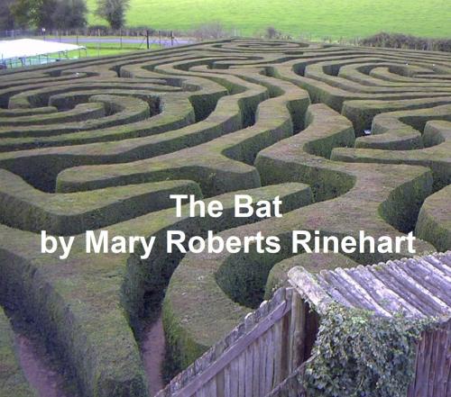 Cover of the book The Bat by Mary Roberts Rinehart, Seltzer Books
