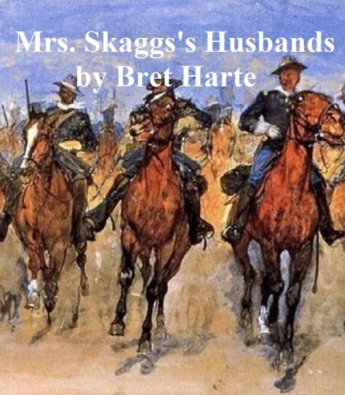 Cover of the book Mrs. Skaggs's Husbands, collection of stories by Bret Harte, Seltzer Books