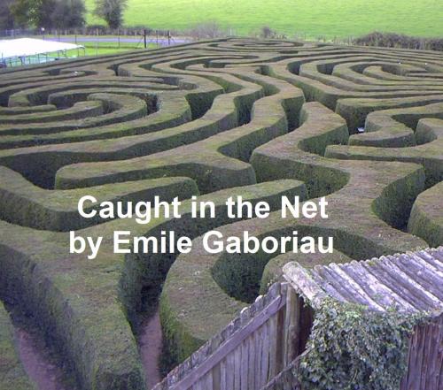 Cover of the book Caught in the Net by Emile Gaboriau, Seltzer Books