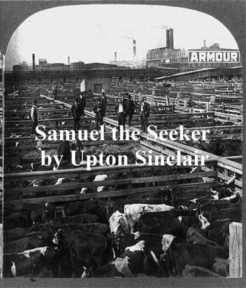 Cover of the book Samuel the Seeker by Upton Sinclair, Seltzer Books