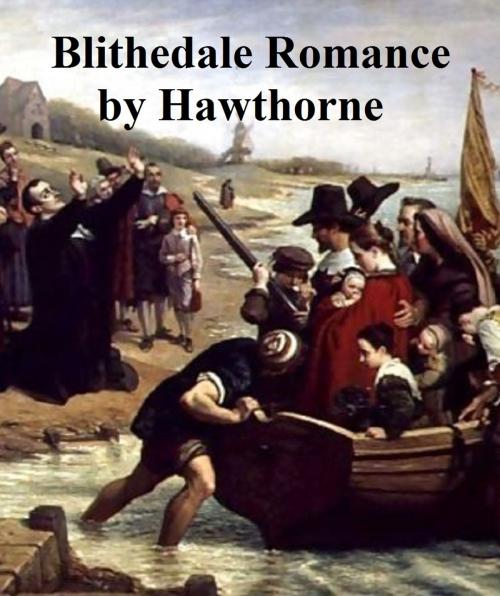 Cover of the book The Blithedale Romance by Nathaniel Hawthorne, Seltzer Books