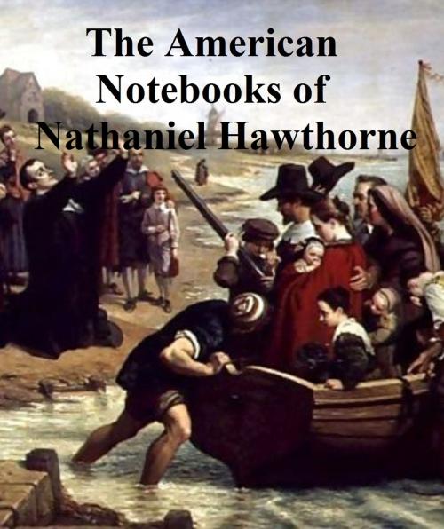 Cover of the book Passages from the American Notebooks of Nathaniel Hawthorne by Nathaniel Hawthorne, Seltzer Books