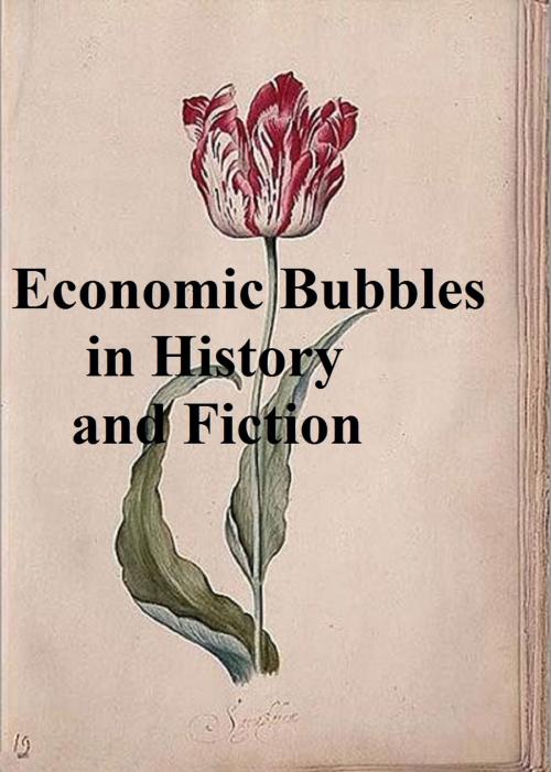 Cover of the book Economic Bubbles in History and Fiction by Charles Mackay, Seltzer Books